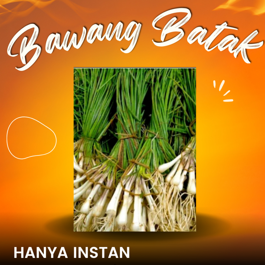 

Bawang Batak Segar Dua Ikat BUAT ARSIK Kucai Lukio