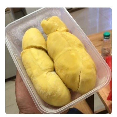 

DURIAN MONTONG SUPER PREMIUM 500 GR PALU LOKAL TERBAIK