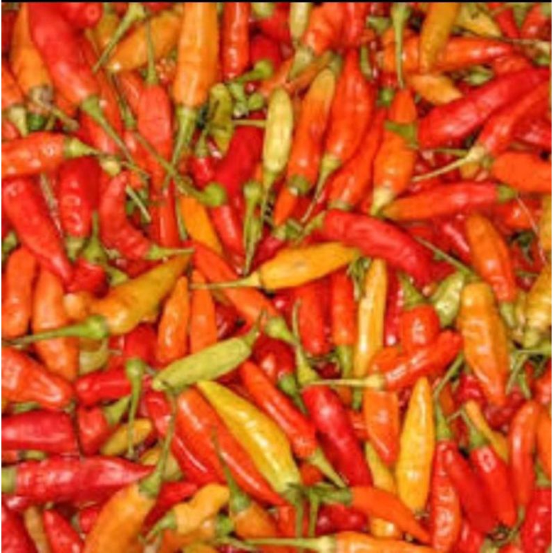 

cabe rawit merah 250gram