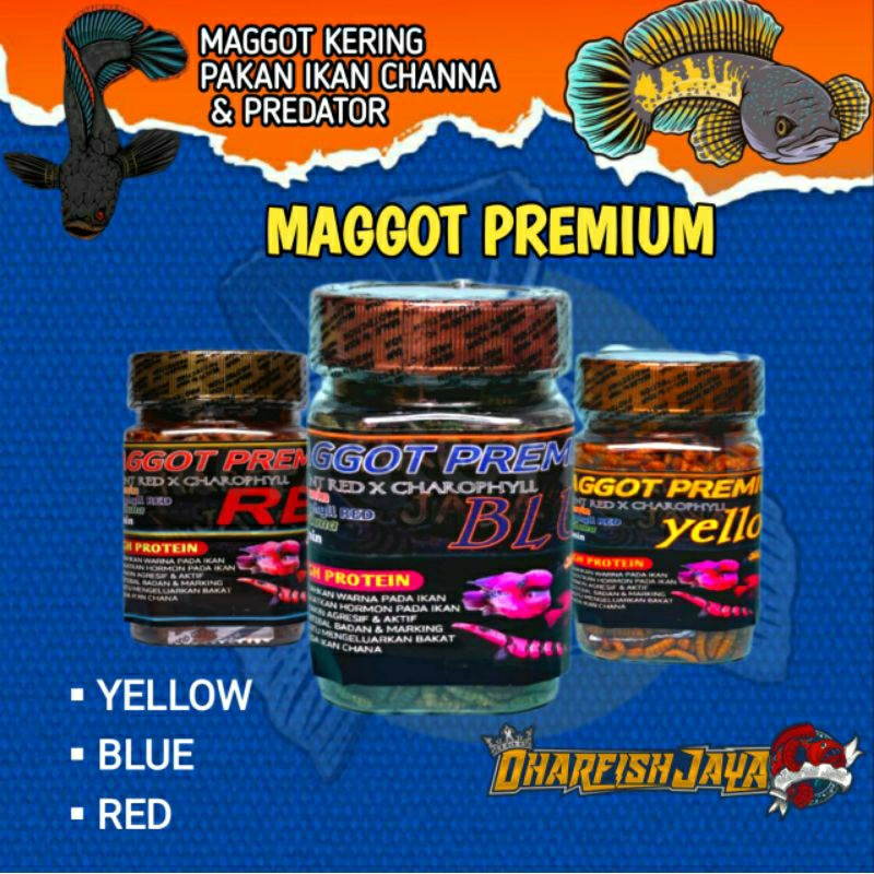 Pakan Ikan Predator Maggot Kering Bsf Kemasan Botol 30 Gram Blue Yellow Red/Magot Bsf Grade A++