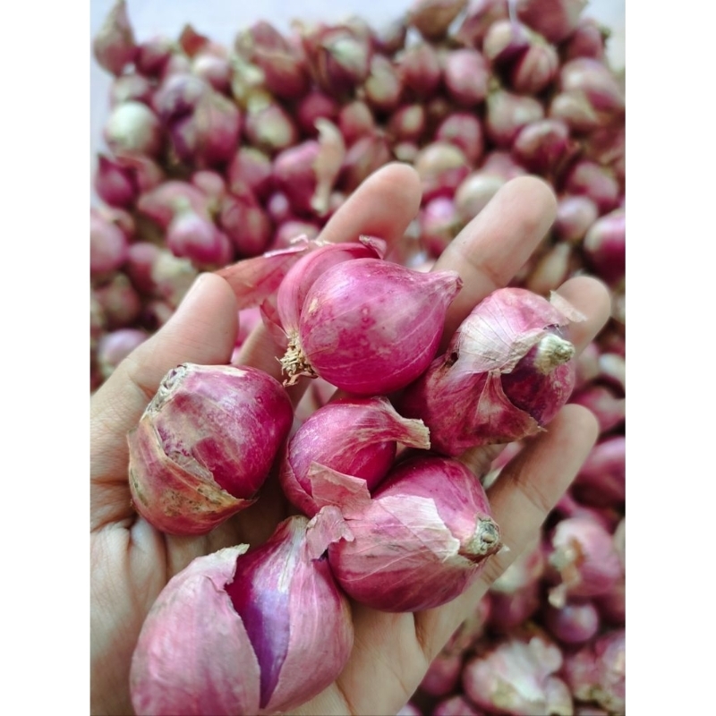 

Bamer Jawa Brambang Bawang Merah 1KG