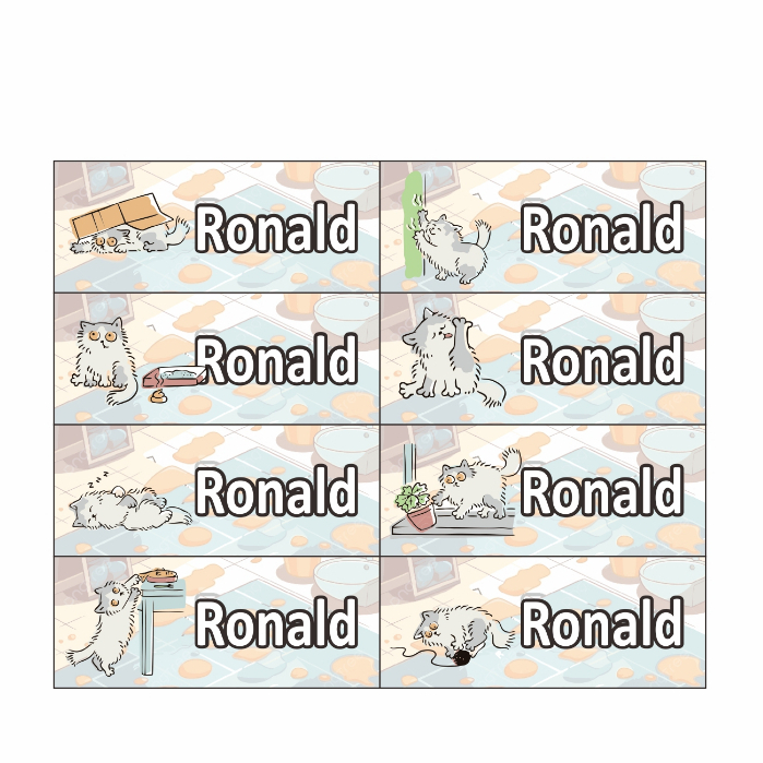 

stiker label nama water proof tahan air vinyl size 4,5x1,7cm kucing bandel sanrio melody