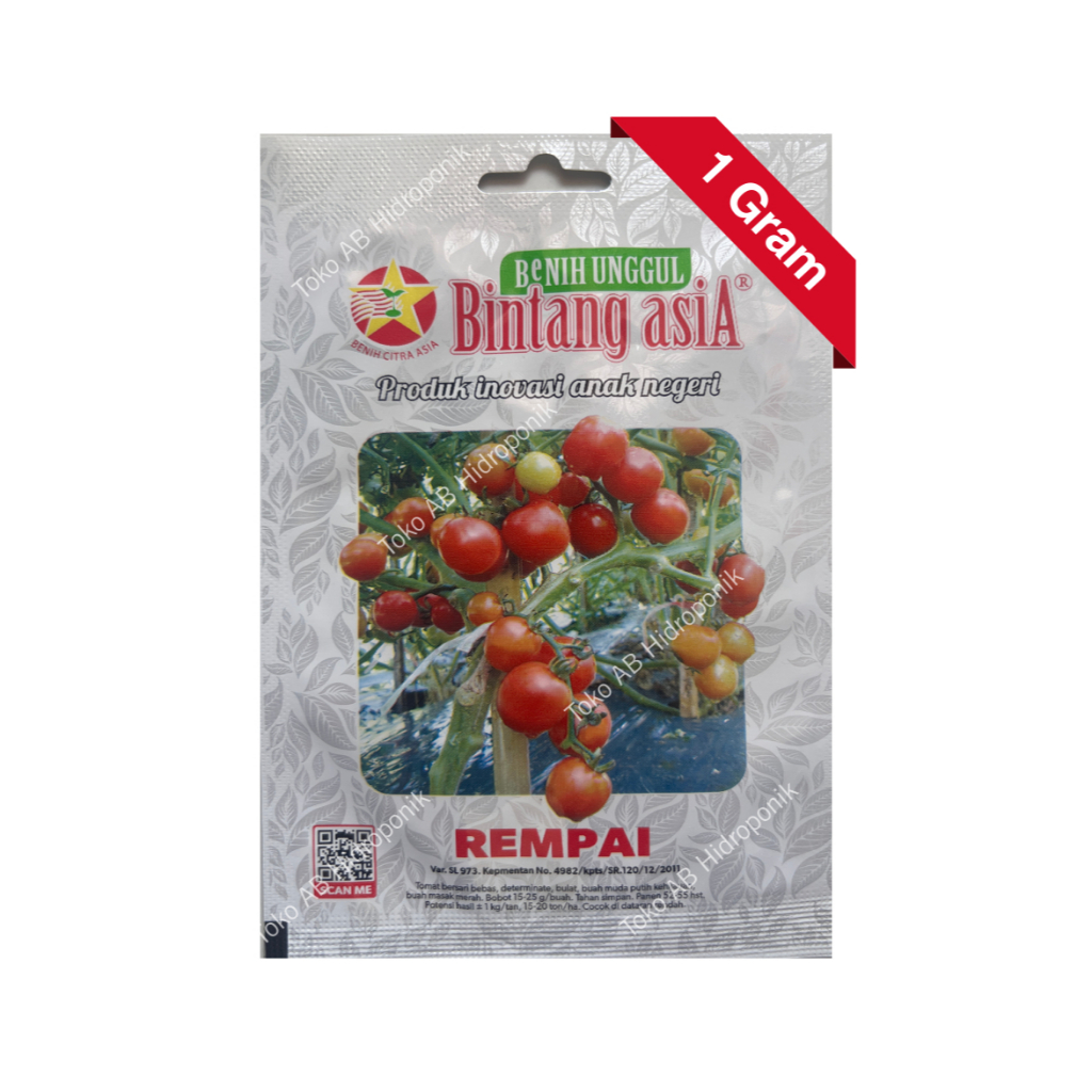 Benih Tomat Rempai F1 Tomat Rampai Bintang Asia