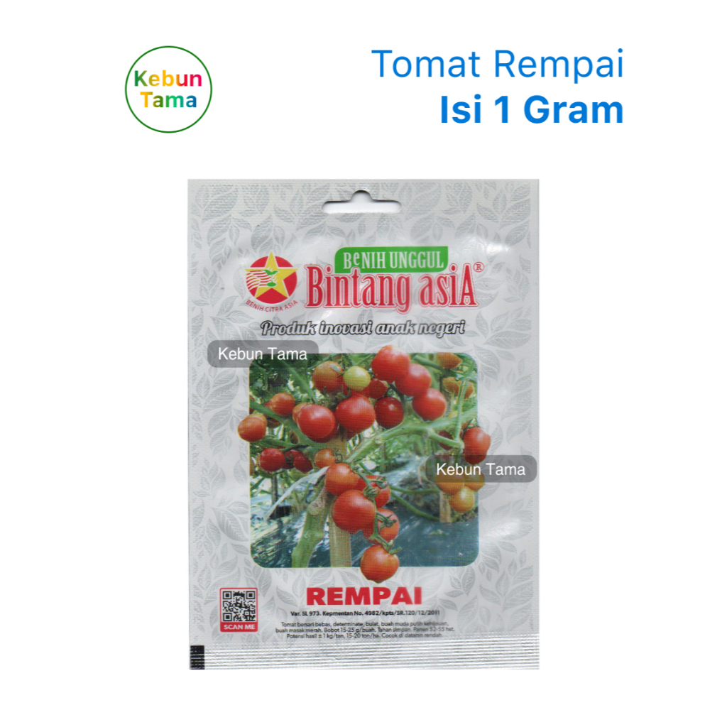 Benih Tomat Rempai / Rampai Bintang Asia Isi 1 Gram