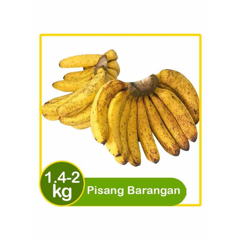 

Pisang barangan Medan