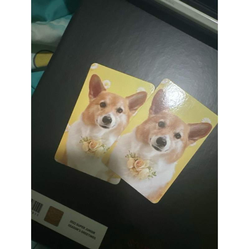 Official Teolaegi PC _ by Baekhyun