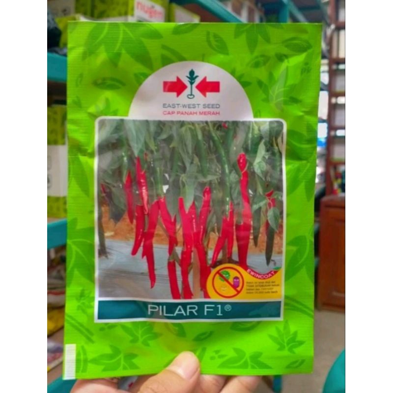 bibit cabe besar pilar F1 10 gram