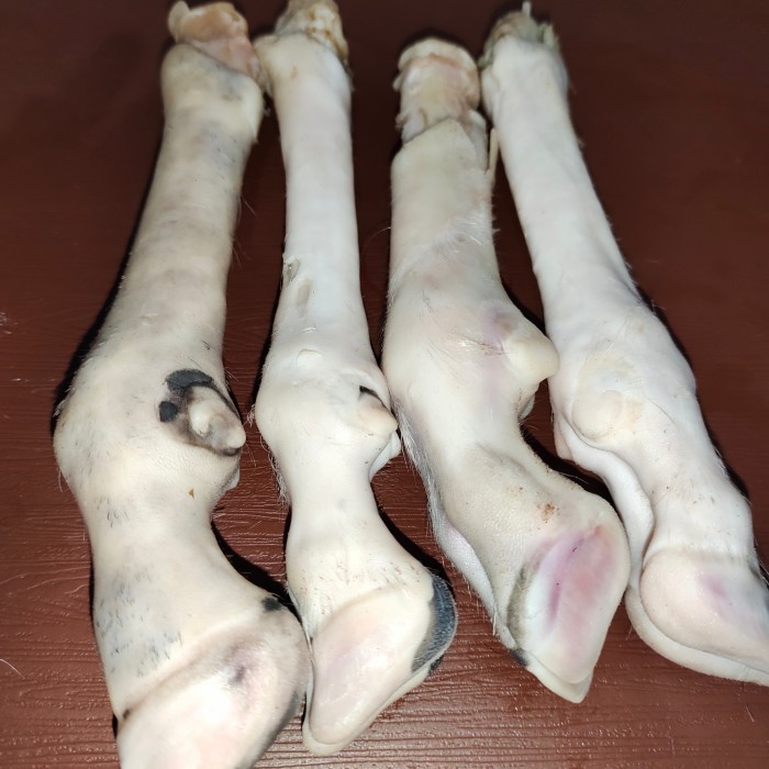 

Kaki Kambing Segar Siap Masak