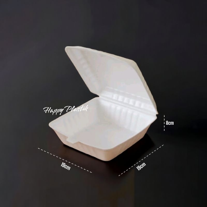 STEROFOAM BOX NASI POLOS