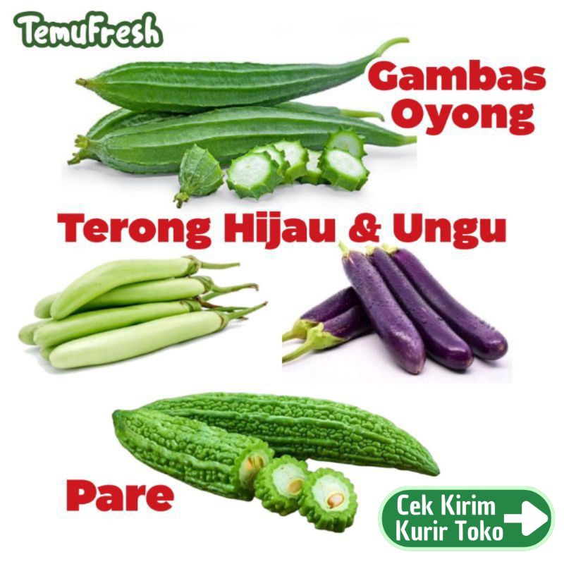 

TERONG PARE GAMBAS OYONG - Sayur Sayuran Terong Ungu & Hijau TemuFresh - Gambas - Pare - Sayur Segar Sleman Jogja TemuPawon Fresh