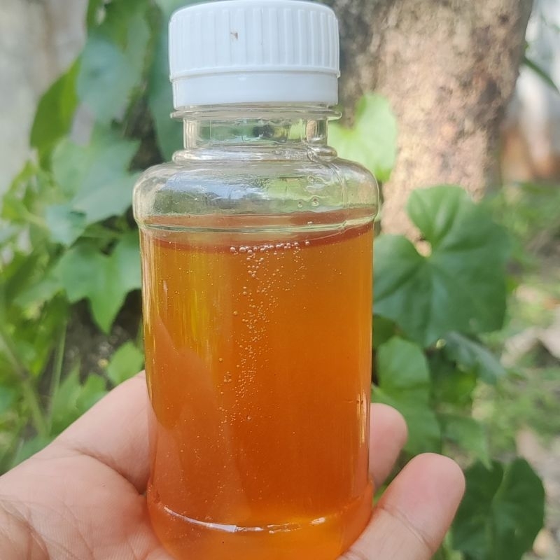 

Madu Hutan Liar - Madu Riwah