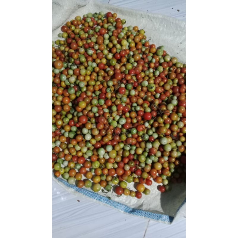 

Rampai Lampung 500gr