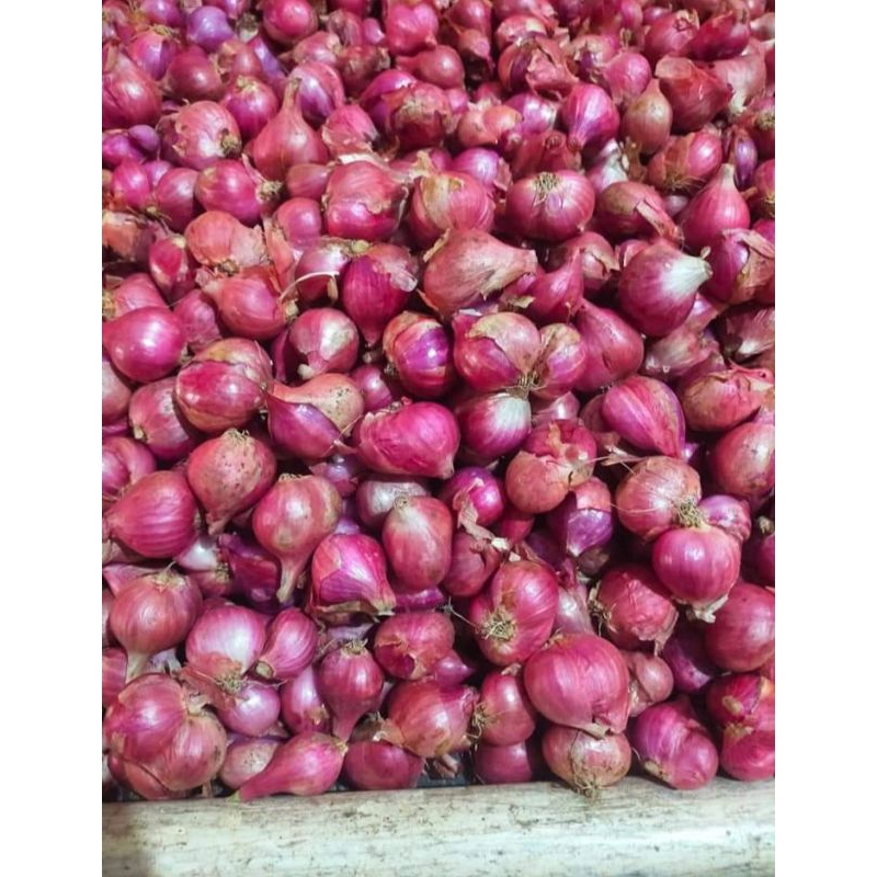 

BAWANG MERAH LOKAL 1KG