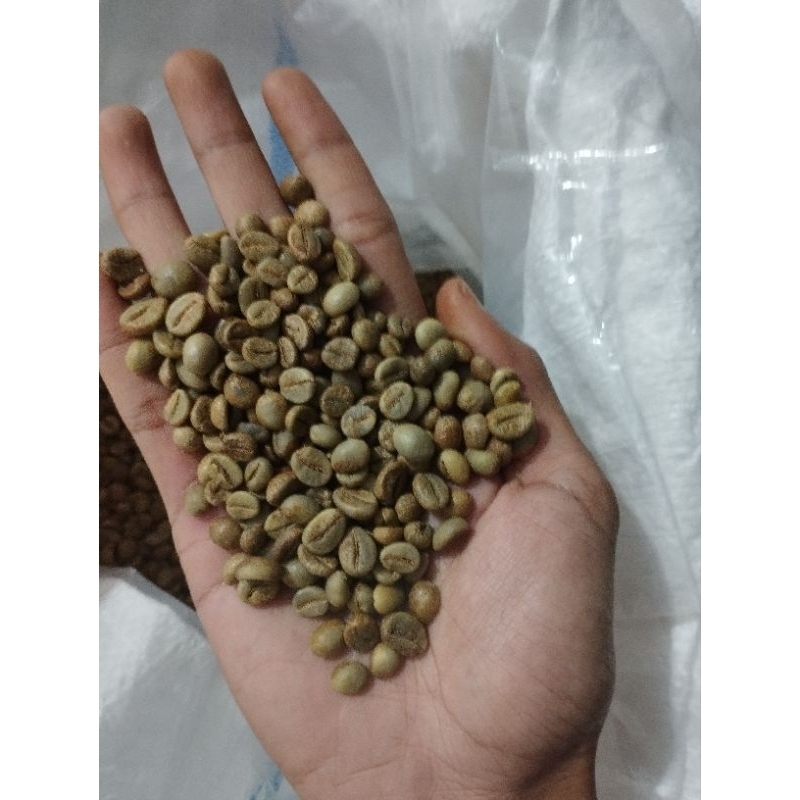 

Robusta Green Bean Lampung, Grade 1 asal Banding, Tanggamus