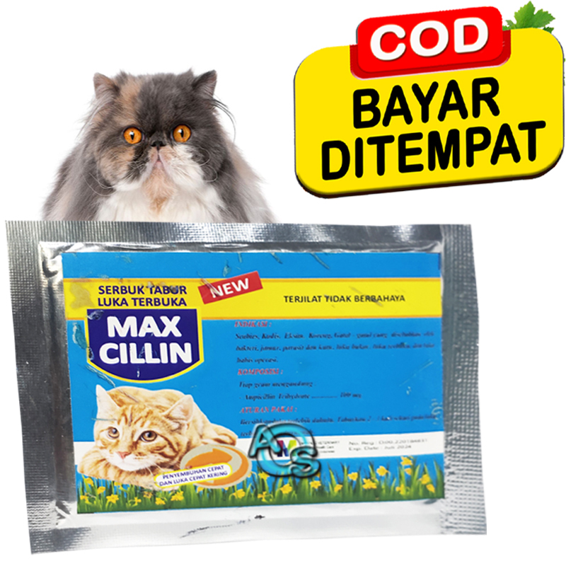Obat Luka Bakar Kucing Infeksi Kulit Bernanah Borok Tabur Maxcillin Cat Fast And Effective