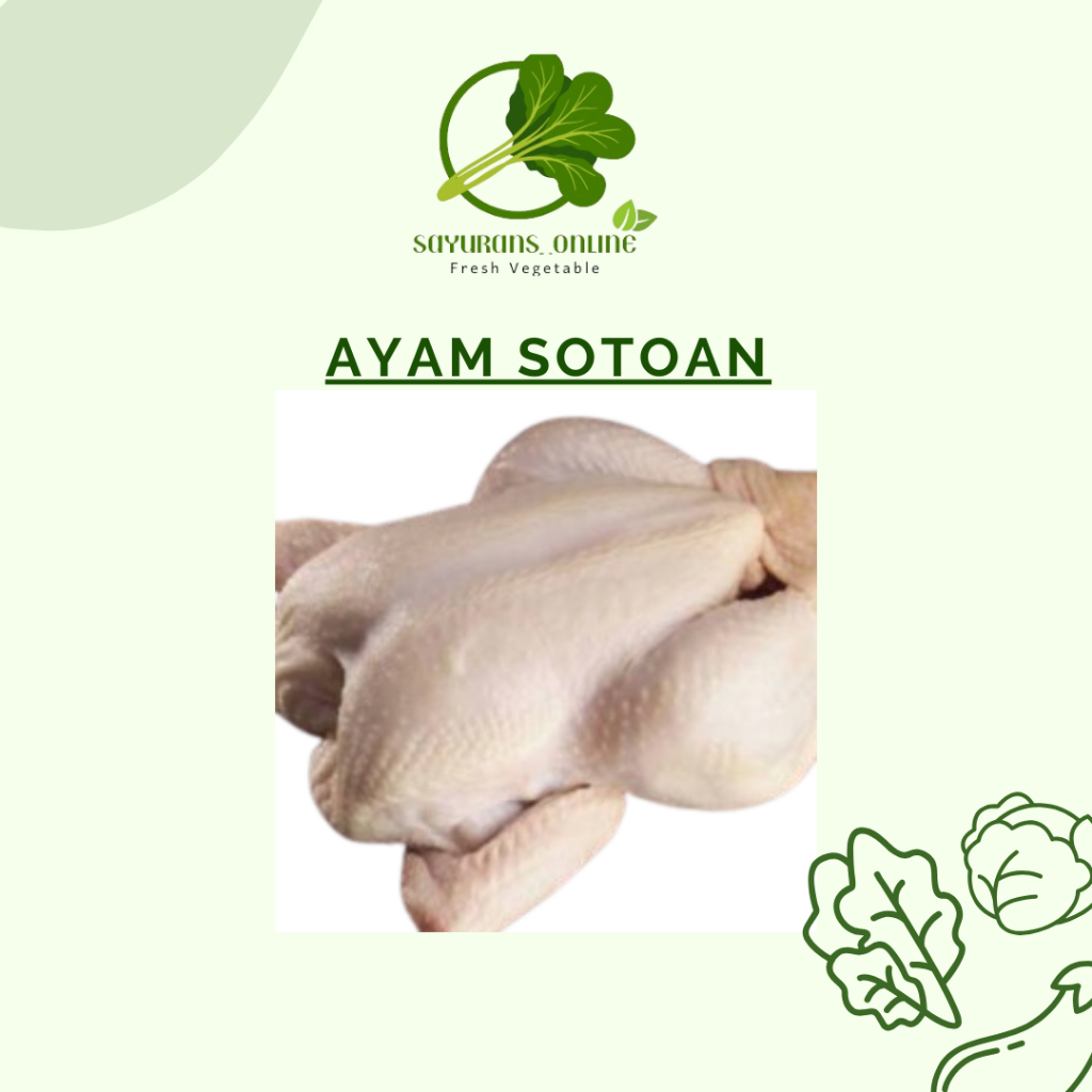 

ayam sotoan 1ekor