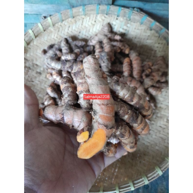 

Kunyit Super Rempah Segar 500gr Murah Alami Dicuci Bersih Kunir Lokal