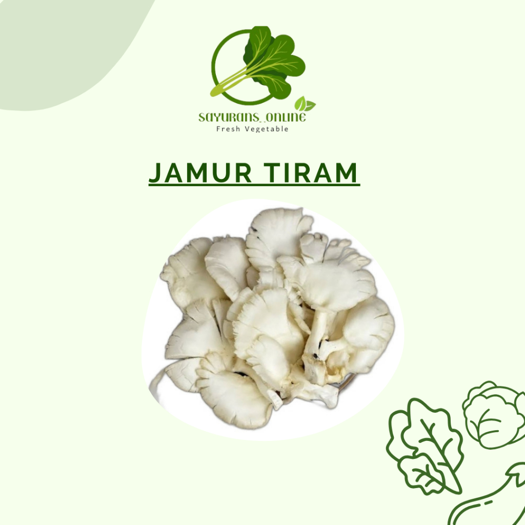 

jamur tiram fresh