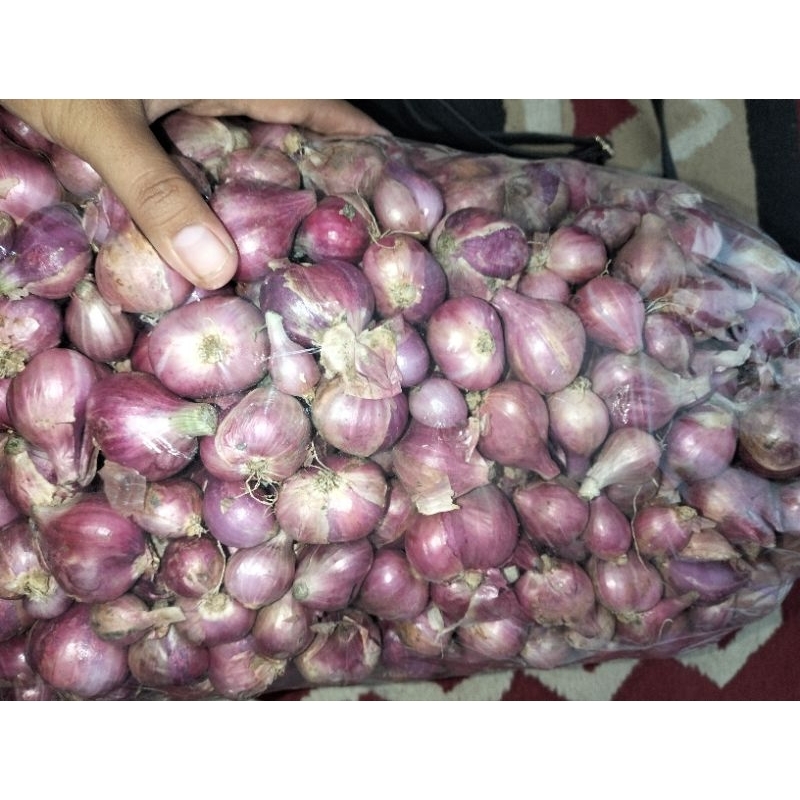

BAWANG MERAH BESAR KERING 1KG
