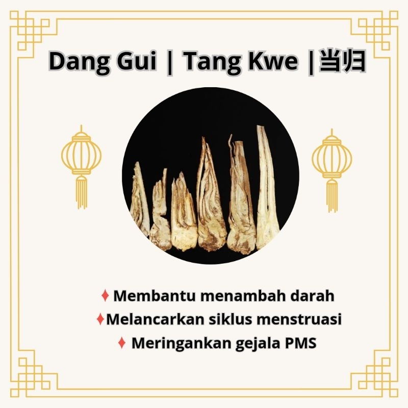 

Dang Gui [100 gr ] | Angelica Sinensis | Tang Kwe |当归