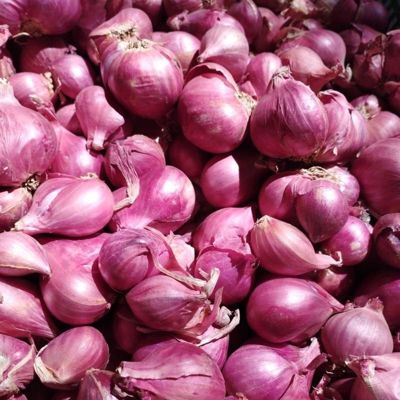 

BAWANG MERAH UKURAN SEDANG 1 KG FREE 250 GRAM