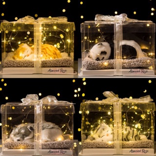 KADO ULTAH [ PRE-ORDER ] Boneka hampers kado cewe pacar hadiah kucing wisuda anniversary birthday