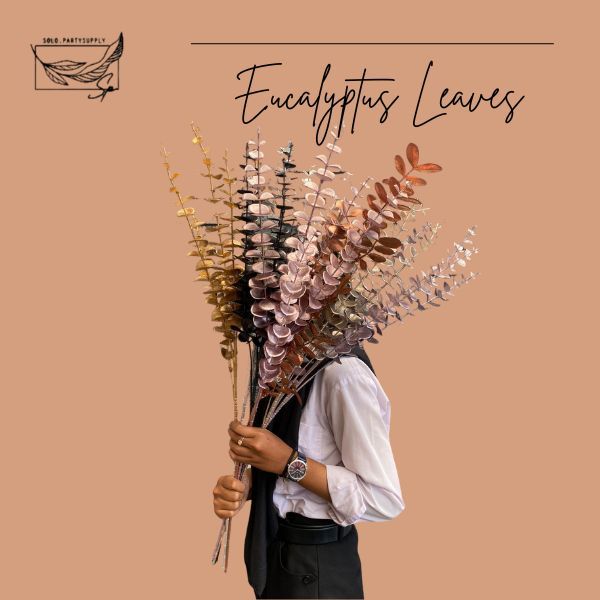 (TT) 5 BRANCH EUCALYPTUS ARTIFICIAL LEAF  82CM TANAMAN HIAS DAUN PALSU DAUN DOLAR DAUN BULAT / BUNGA