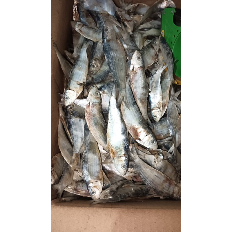 

ikan asin tembang 500gram