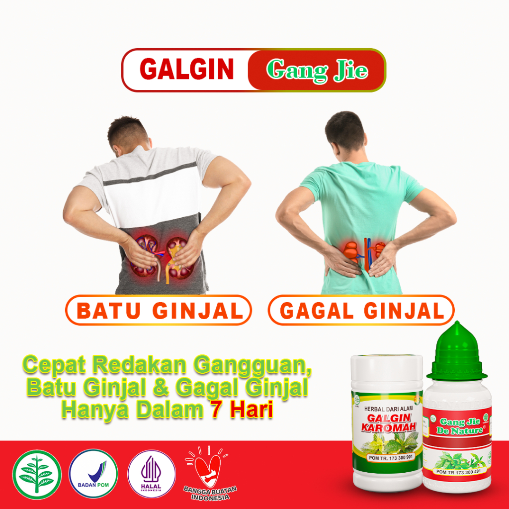 Obat Kencing Batu Ginjal Penghancur Empedu Dan Karang Paling Ampuh Herbal Galgin Gang Jie De Nature