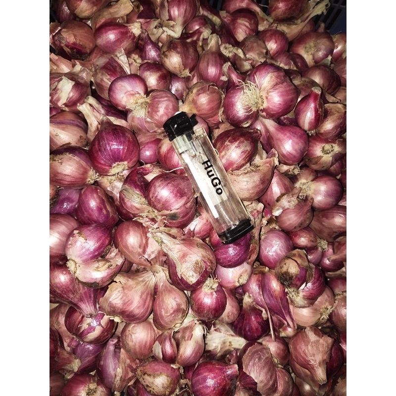 

Bawang Merah Super 500g