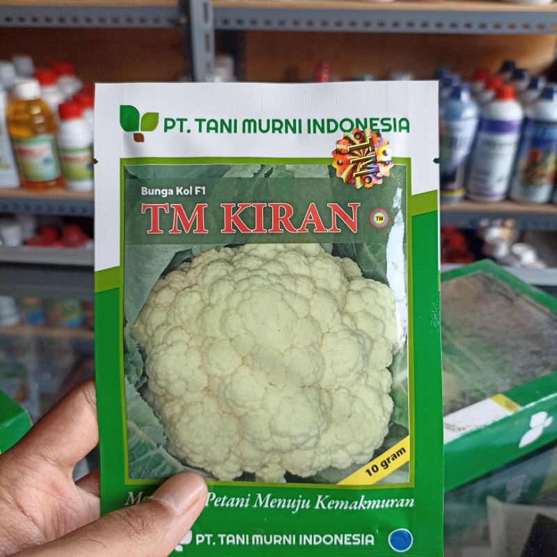 benih bungkul TM KIRAN kemasan 10g