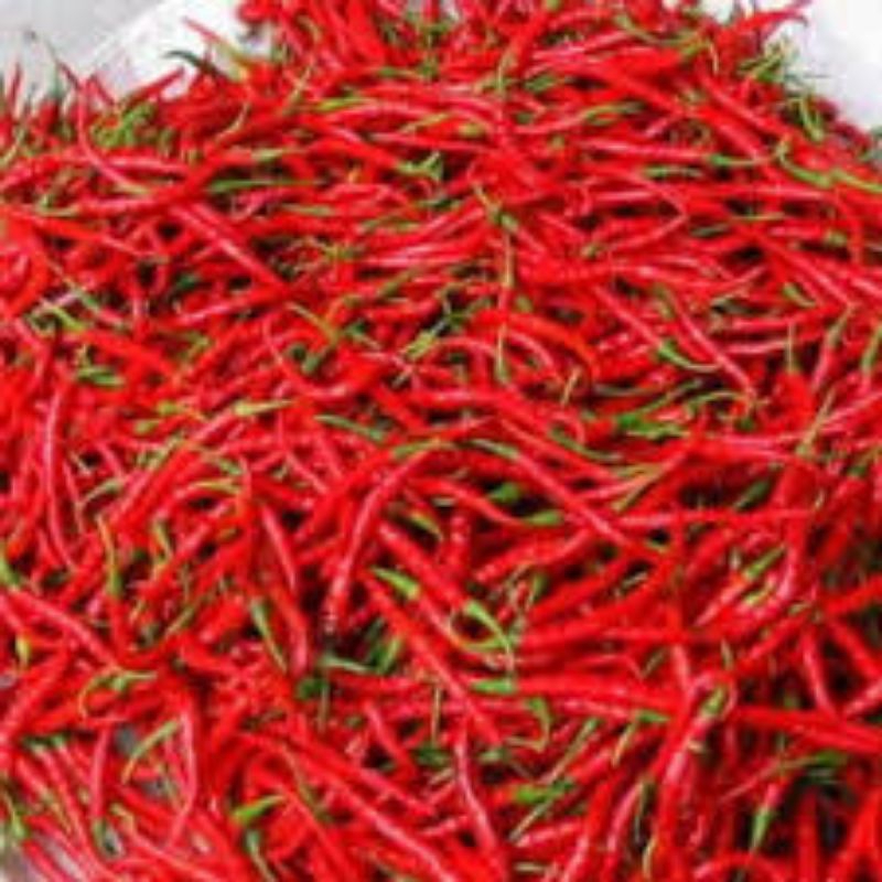 

cabe merah keriting 250-1kg