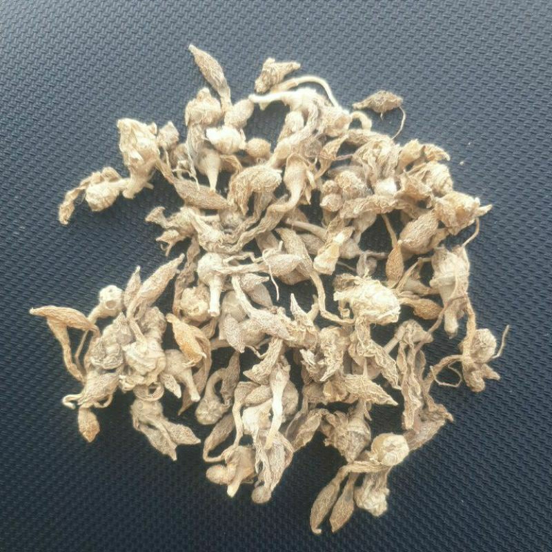 

Kunci Pepet Kering 1kg