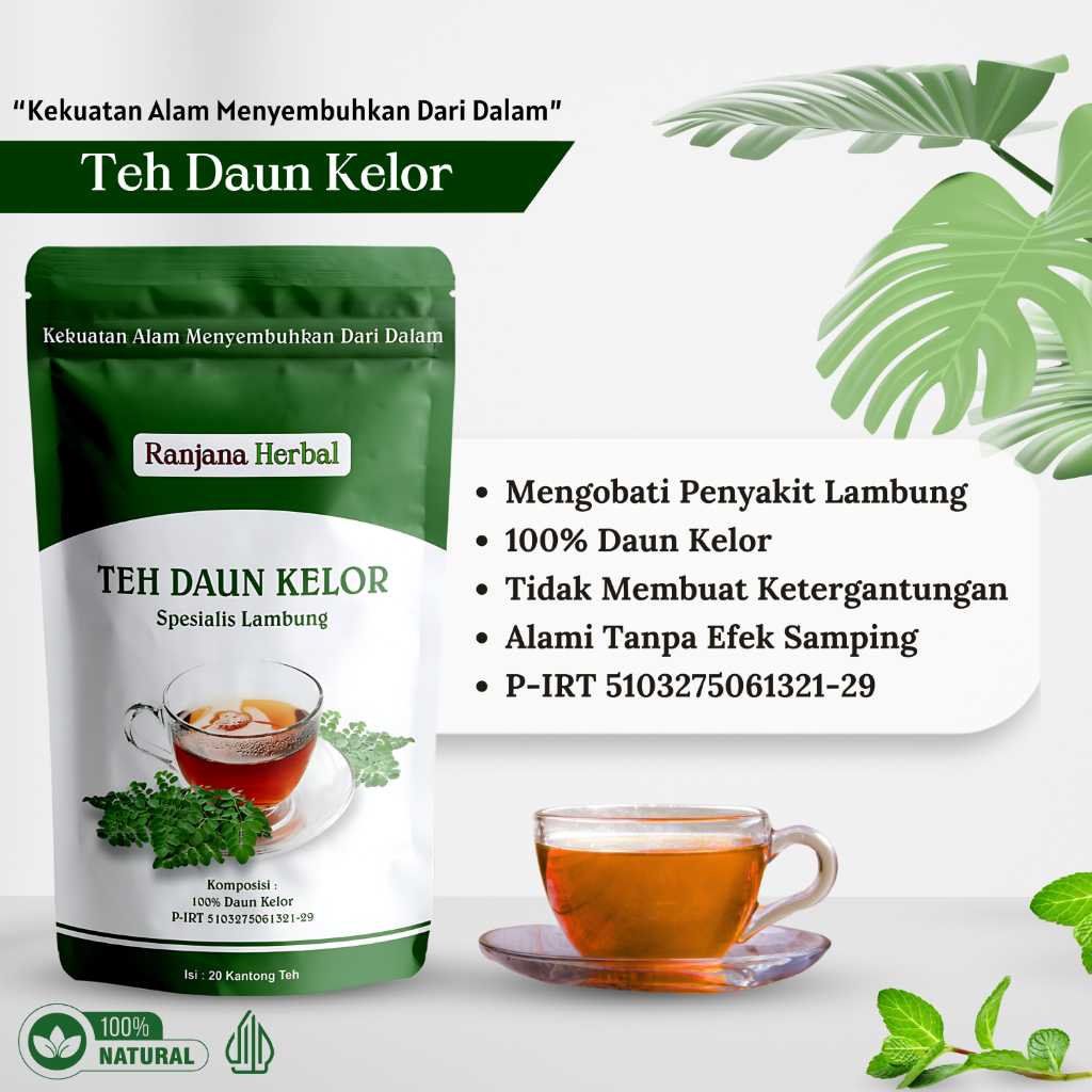 

Teh Celup Daun kelor Obat Asam Lambung Maag Gerd Mual Muntah Dada Panas Aman Ampuh Asli Halal