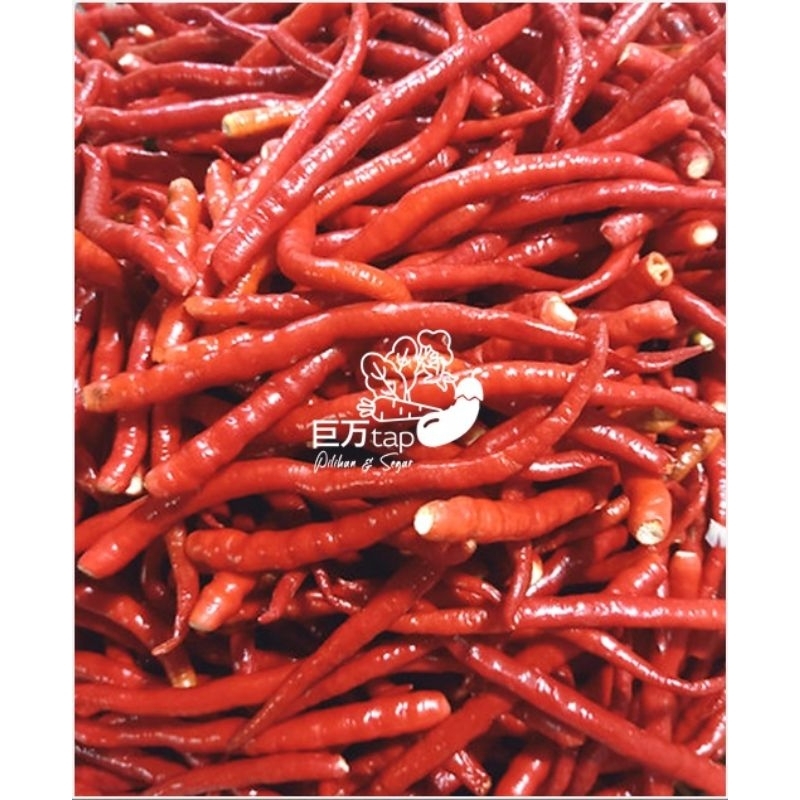 

CABE MERAH KERITING PETIK SEGAR DAN HEMAT KYOMAANTAP 500 GRAM