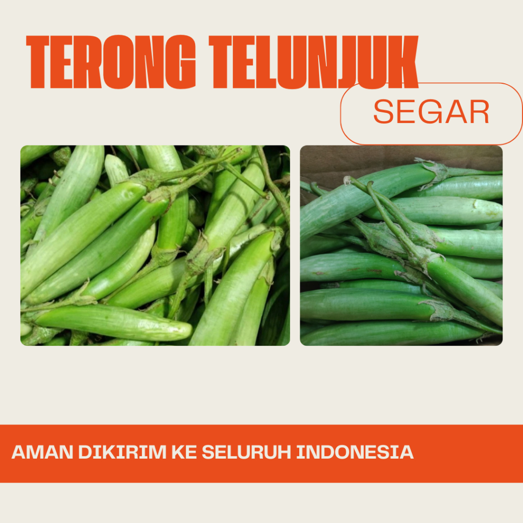 

Terong Telunjuk Medan segar dan Enak 500gr