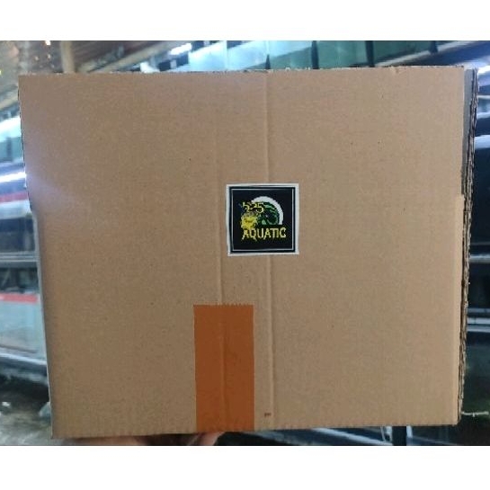 

Kardus Packing Merk ys 21-23 Cm
