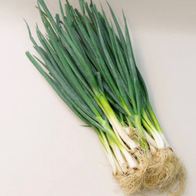 

DAUN BAWANG SEGAR 200GR