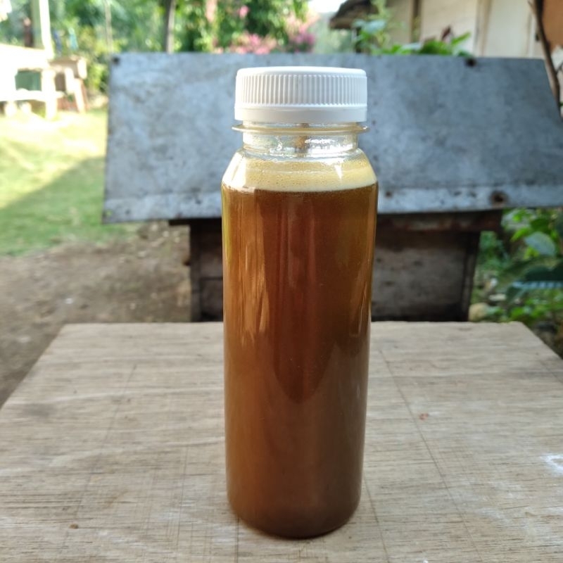 

MADU KELANCENG ( trigona / kelulut ) kemasan ekonomis 250 mili