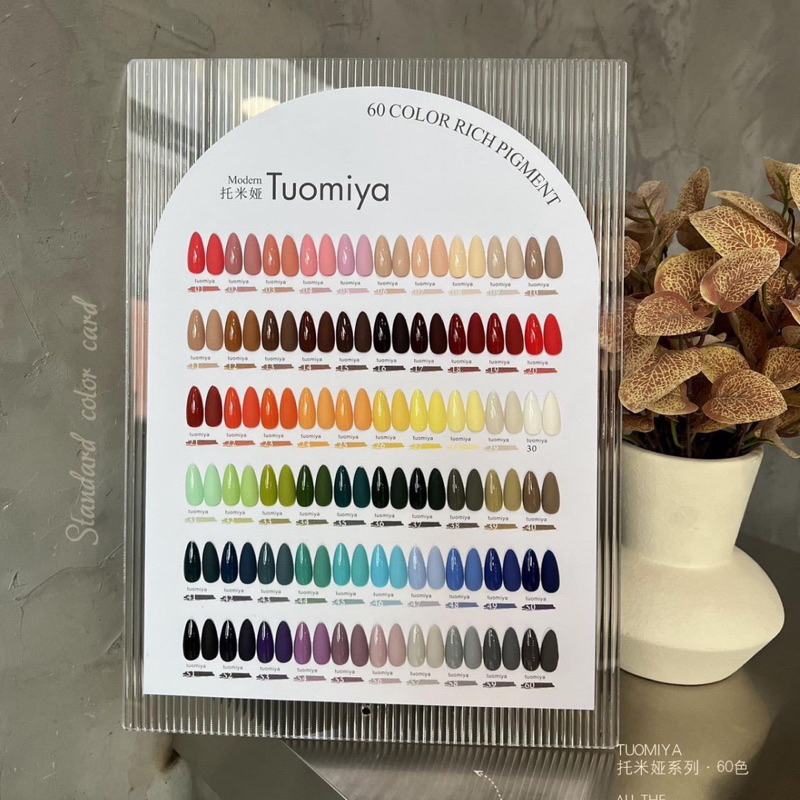 TUOMIYA SOLID NAIL GEL POLISH SET ISI 60 WARNA FREE NAIL FRAME 15ML KUTEK GEL POLISH SET