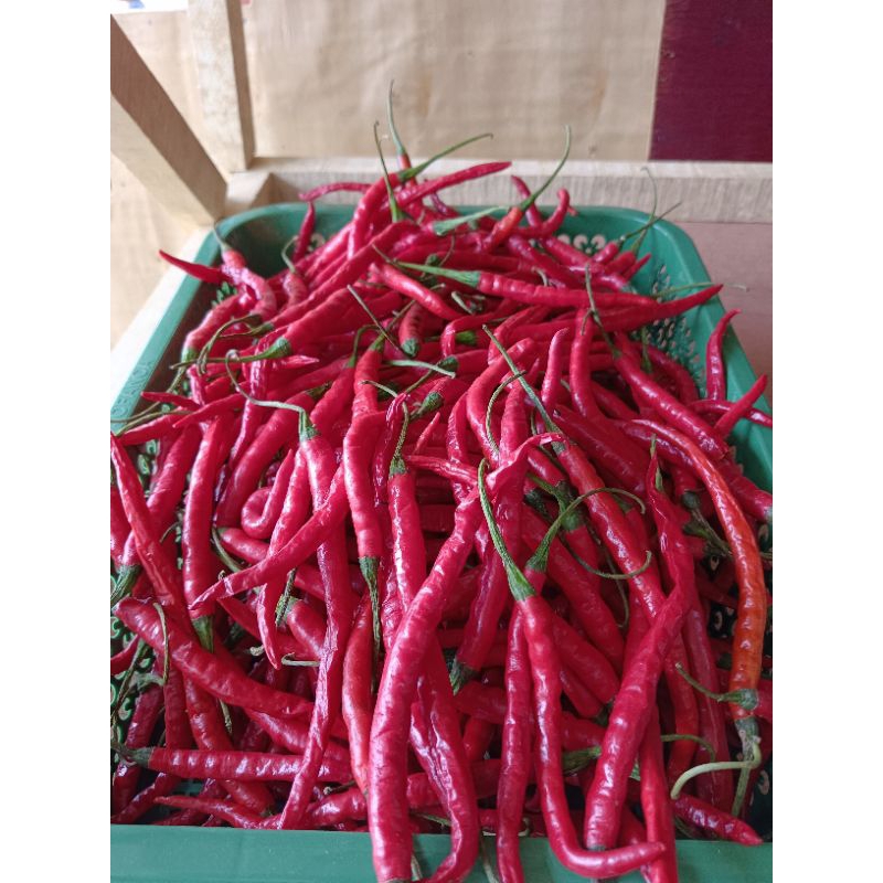

Cabe Merah Keriting 500 Gram