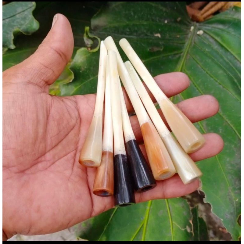 once cangklong tulang kalong kw