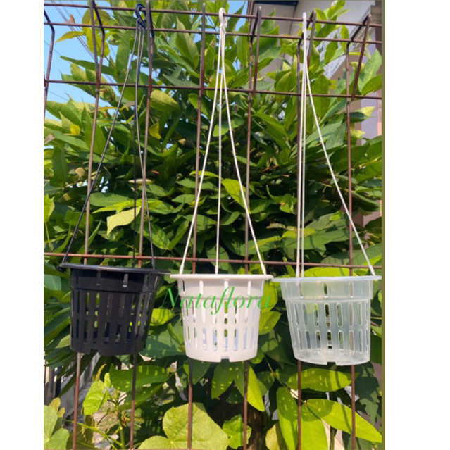 Pot anggrek gantung netpot 15 dan 17 hitam putih bening Pot NKT Netpot gantung (termasuk gantungan)