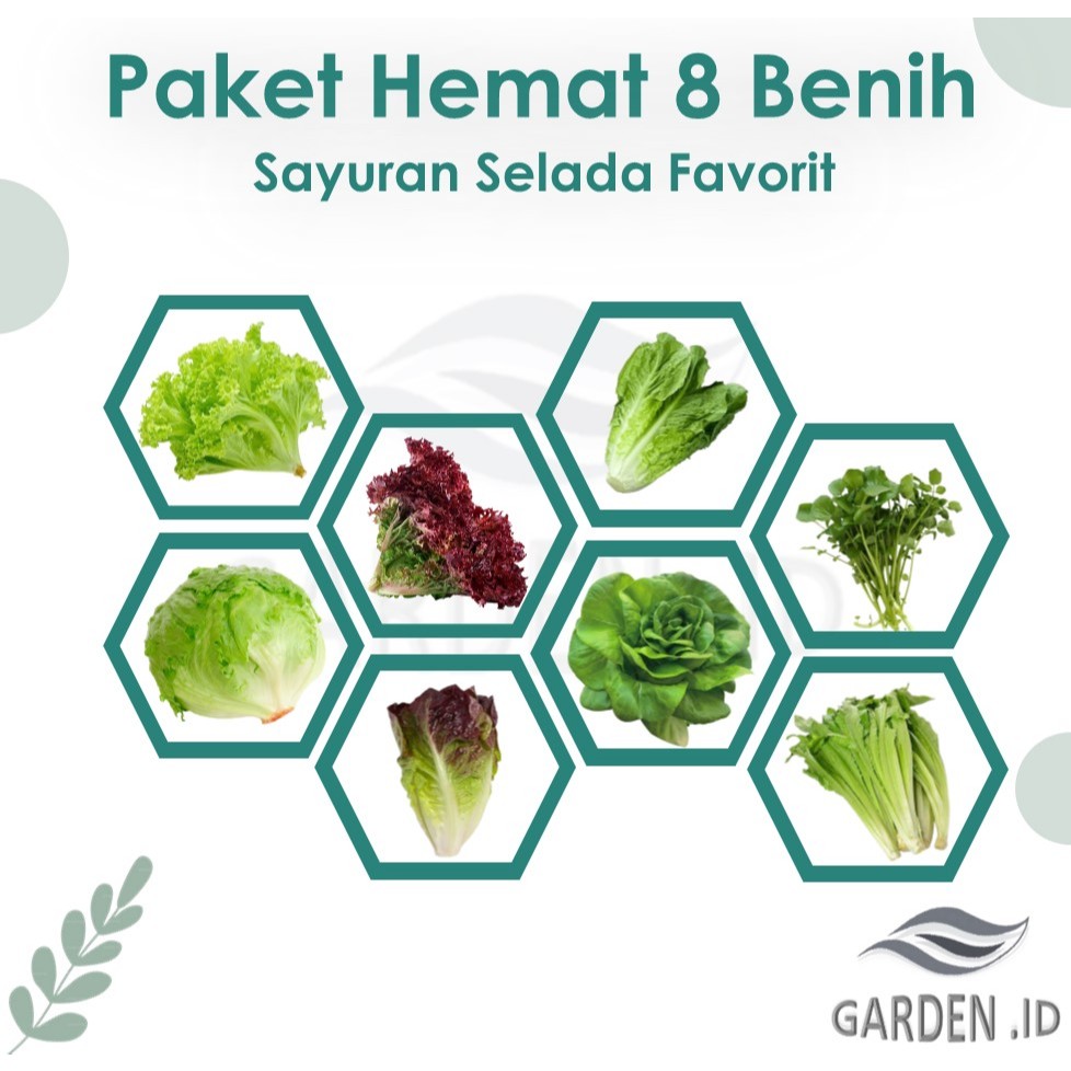 Paket Hemat Biji Benih 8 Macam Sayuran Selada Favorit
