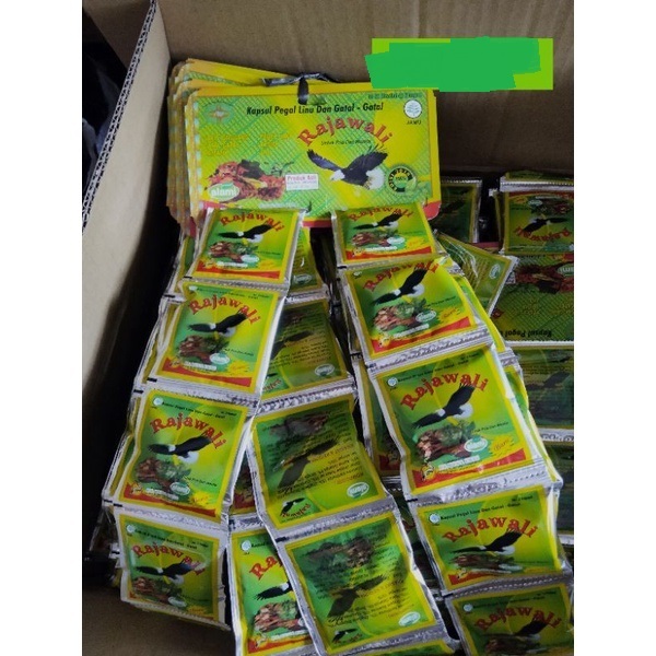 rajawali (kapsul herbal)