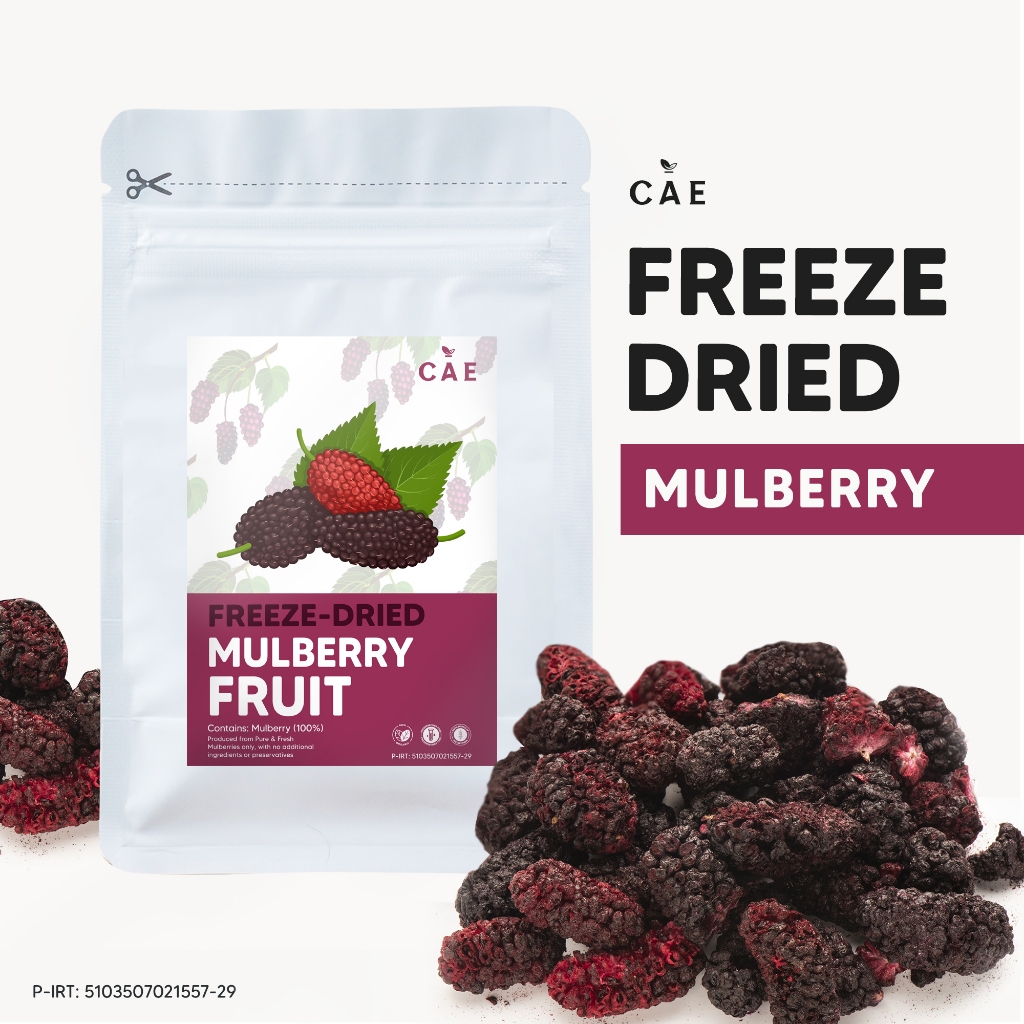 

Mulberry Freeze Dried Mulberry Fruit Buah Crisp Pure Kering Utuh Whole Organik Healthy Crunchy Premium 25 Gram - 100 Gram