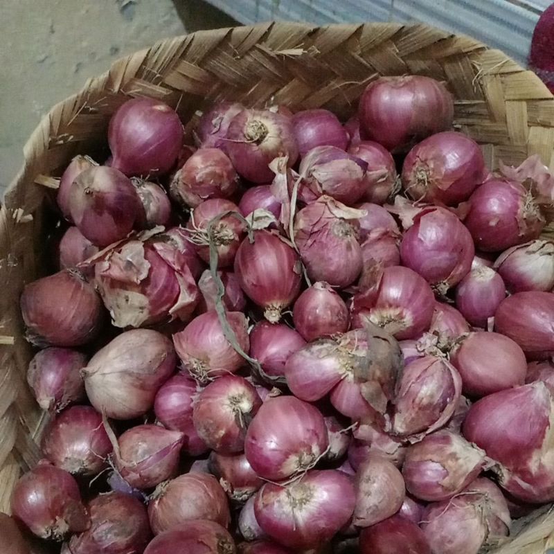 

Bawang Merah Kupas