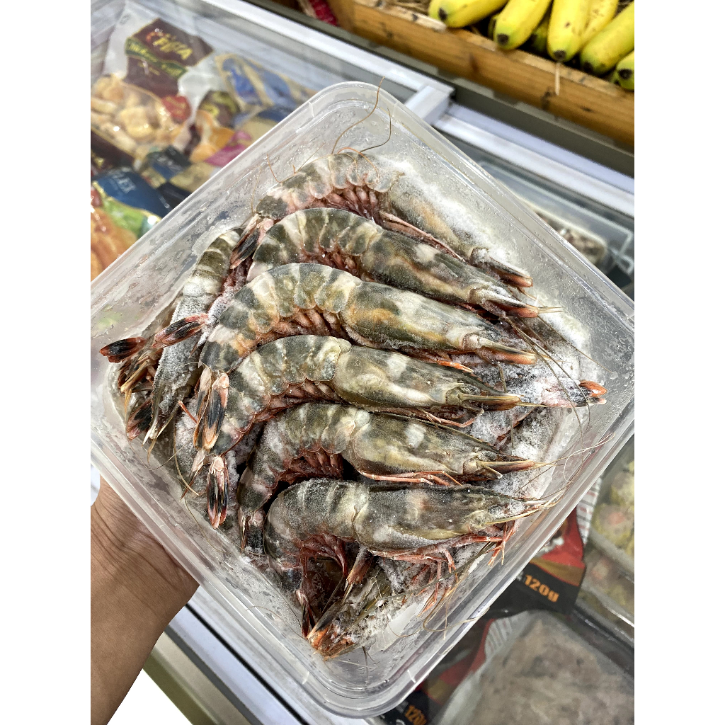 

Udang Frozen