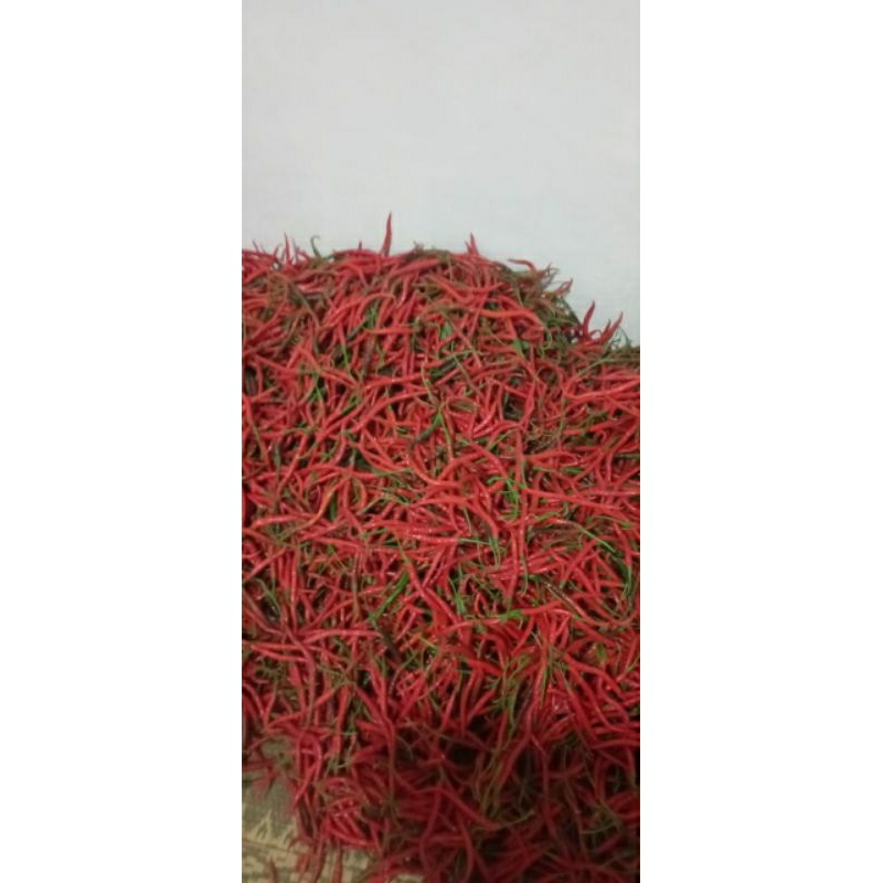 

Cabai Merah Kriting