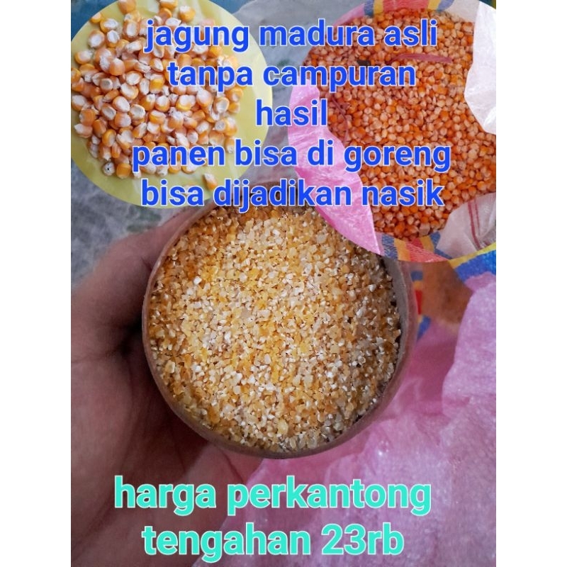 

petani